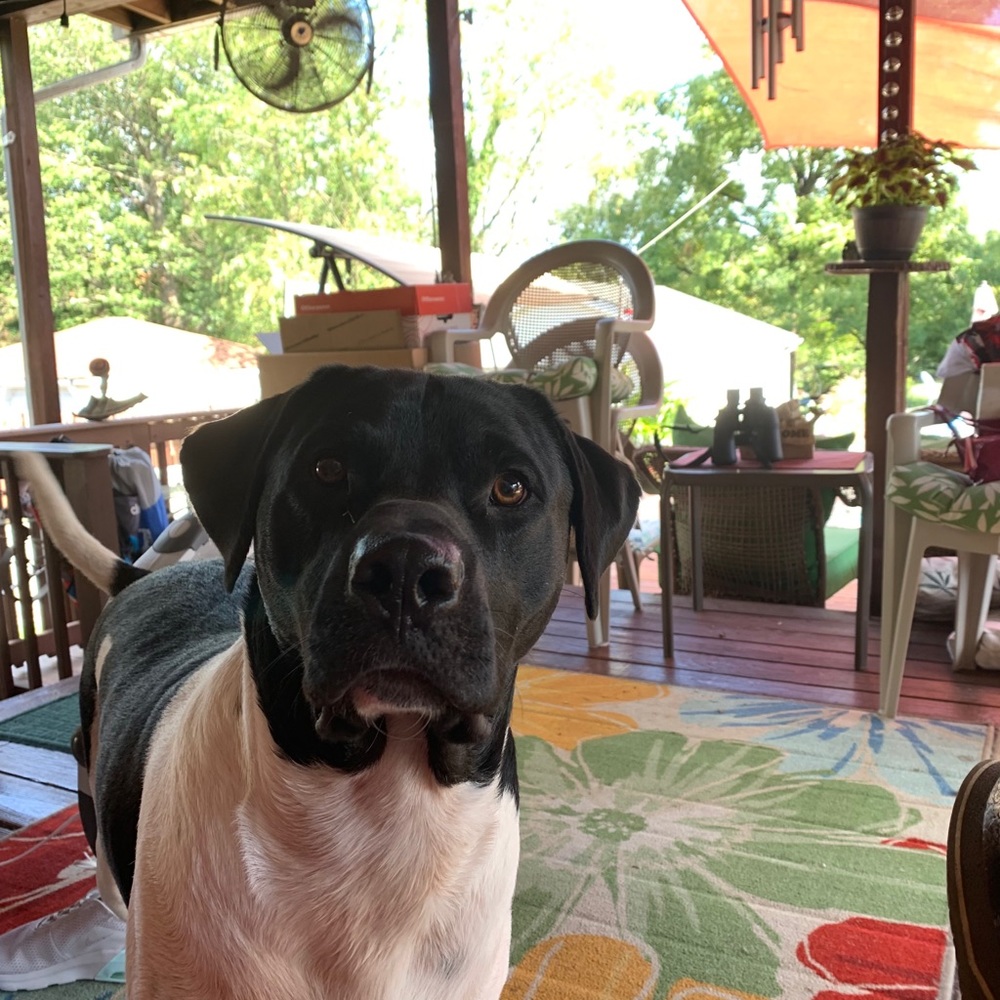 Meet your Posher, Brooke